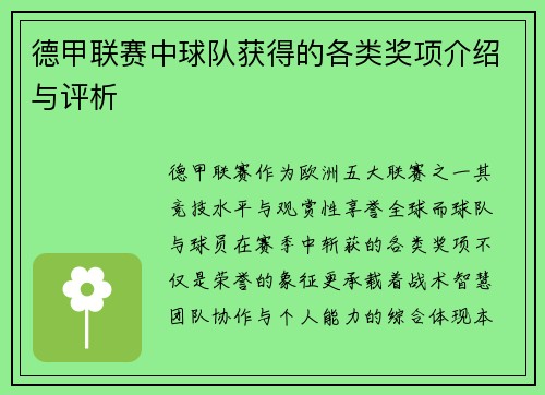 德甲联赛中球队获得的各类奖项介绍与评析